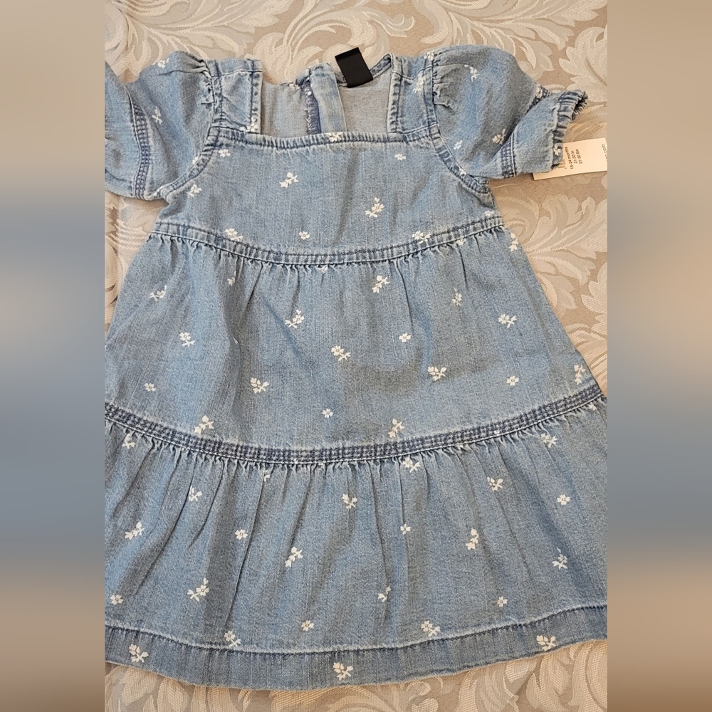 Gap Denim Dress Embroidered